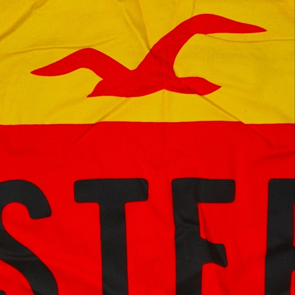HOLLISTER TEES SHORT SLEEVE - Picture 4 of 7